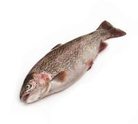 Форель мелка непотрошеная