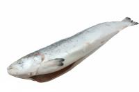 Лосось атлантический (Сёмга) потрошеный с головой, Inarctica, 2-3 кг в 1 шт
