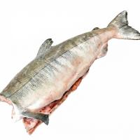 кета пбг вер2