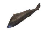 Угольная рыба без головы, около 1 кг в 1 шт, 1 кг