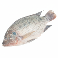 теляпмя нал