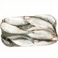 Сельдь олюторская нр 400500 см