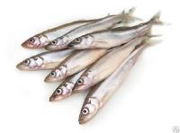 Корюшка свежемороженая