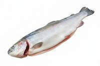 Форель потрошеная с головой, 4,0-5,0 кг в 1 шт, РФ