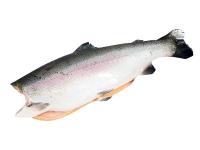 Форель премиум переделанная