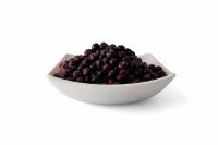 голубика садовая