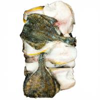 камбала желтоперая