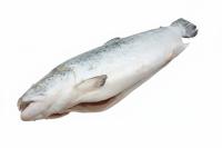 Лосось атл сг, Мурманск, 8-9 кг в 1 шт новая