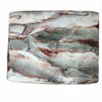 горбуша 22 пбг