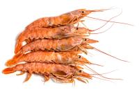 Лангустины с головой