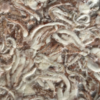 Щупальца 12кг