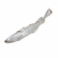 навага ворошонка