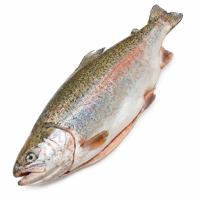 Форель ПСГ 4-5 белый фон