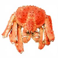 краб красный