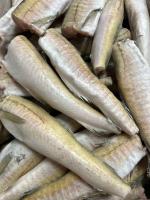 Минтай 100-200