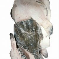 камбала дв 8 коробка