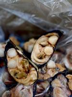 photo_124@29-10-2025_14-16-57