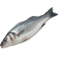 сибасс 400-600 белый фон, побольше