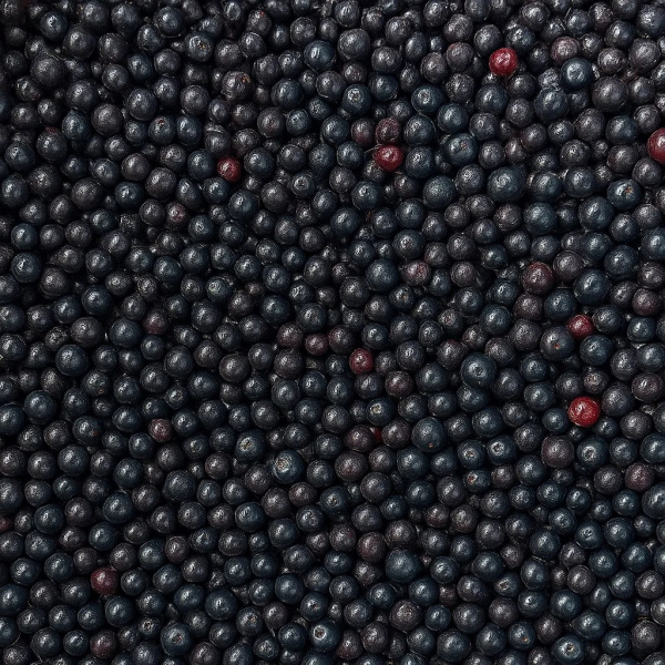 4 photo_2025-10-15_19-27-46