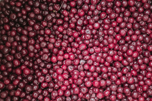 вишня с косточкой короб