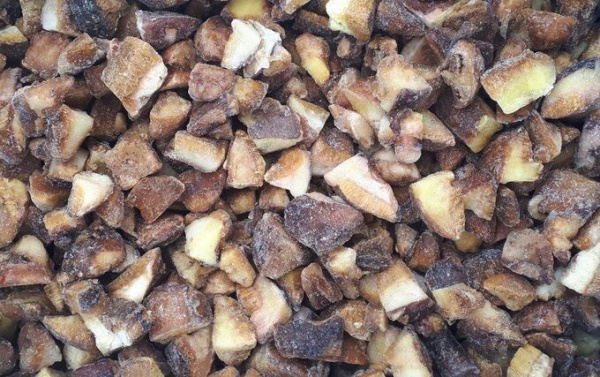 Масленок резанный