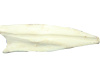 00-00000329