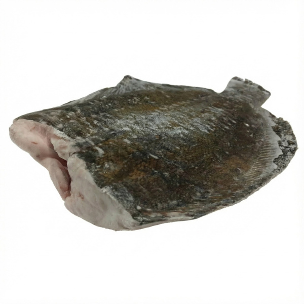 камбала дв 8