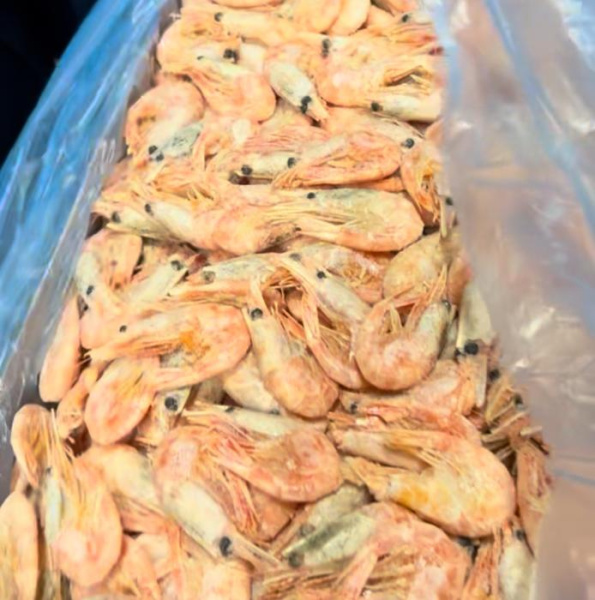 Креветки северные 70 90 5 кг