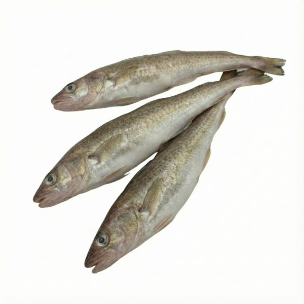 навага 3 шт размороженая